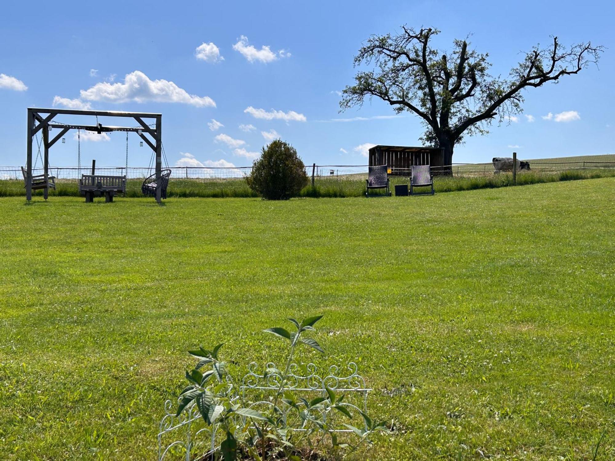 Ferienhaus Sächsische Schweiz Kurort Gohrisch Exterior foto